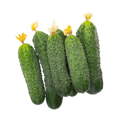 pile of fresh raw cucumbers isolated on white background with clipping path, organic products from garden