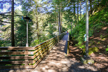 Elevated boardwalk of the Salmon Walk, a trail following the banks of the Ketchikan Creek in Alaska. It serves as a viewing platform for tourists to watch the spawning salmon run