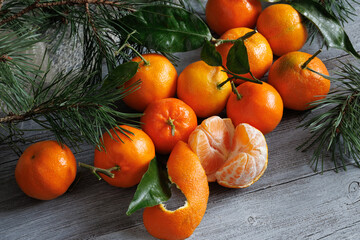 Tangerines mandarin fruit and pine branches on a wooden table. Christmas card.