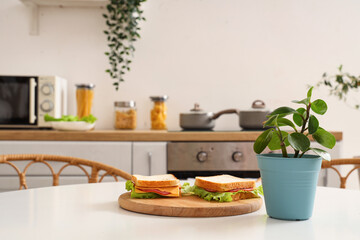 Plant with sandwiches on dining table in kitchen, closeup