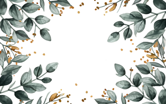 Herbal eucalyptus leaves frame isolated on a white transparent background, png.  Greenery wedding simple minimalist border. Watercolor style card. 