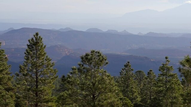 Establishing shot of mountains with green forest in Larb Hollow Overlook, Dixie National Forest, Utah, North America. ProRes 422 HQ.