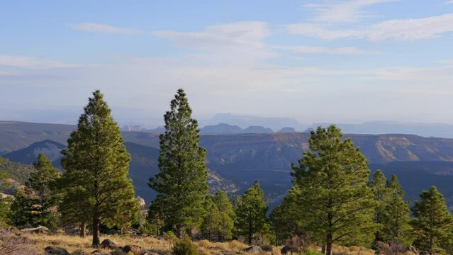 Establishing shot of mountains with green forest in Larb Hollow Overlook, Dixie National Forest, Utah, North America. ProRes 422 HQ.