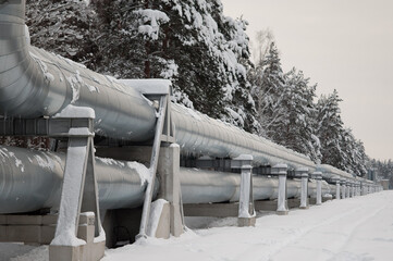 pipeline in winter against the backdrop of a snowy forest