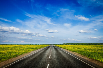 Travel concept background - an empty road with a blue sky and blooming green spring fields on either side - 692773247