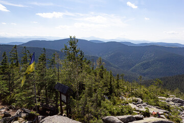 A peak in the Ukrainian Carpathians with a yellow-blue flag on a background of coniferous trees
