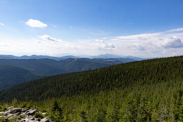 Mountain landscape, blue sky with white clouds. Coniferous forest