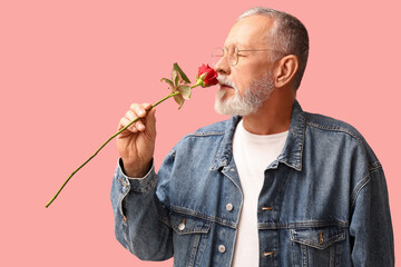 Mature man with rose flower on pink background. Valentine's day celebration