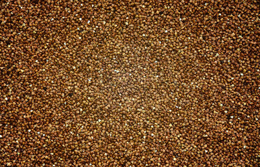Background texture of a large pile of buckwheat. Many buckwheat grains close-up in daylight