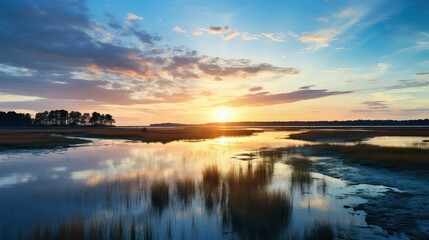 coastal salt marsh landscape illustration tidal flora, ecosystem habitat, brackish mudflat coastal salt marsh landscape