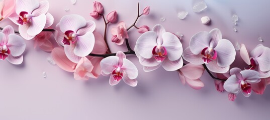 Fototapeta na wymiar Pink orchid flowers branch background. Generative AI technology.