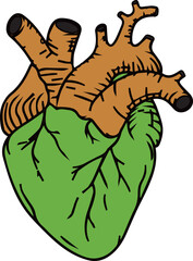 心臓（heart）(eps)