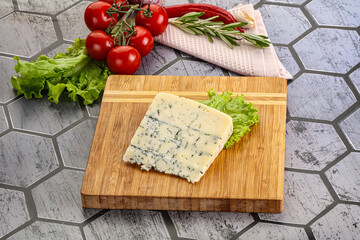 Gourmet blue cheese with mold