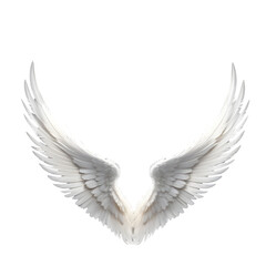 Obraz premium Angel wings isolated on gray background.