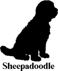 Sheepadoodle Dog Silhouette SVG Vector