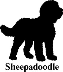 Sheepadoodle Dog Silhouette SVG Vector