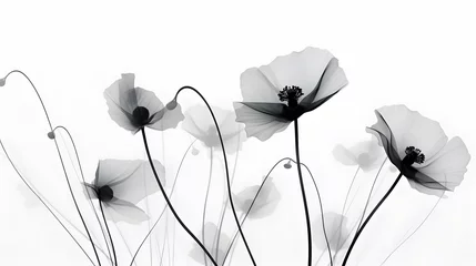 Foto op Plexiglas Stylized white/blue poppy lightly translucent pedals flower on black background. Remembrance Day, Armistice Day, Anzac Day  © Brian