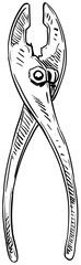 Obraz premium pliers handdrawn illustration