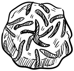 bacteria virus handdrawn illustration