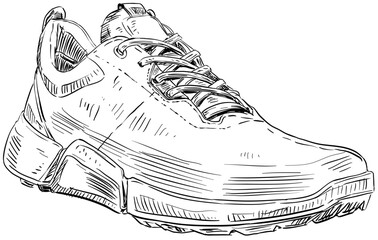 golf shoes handdrawn illustration