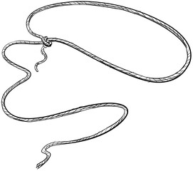 cowboy lasso handdrawn illustration