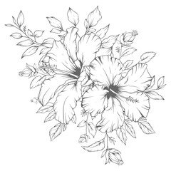 Hand drawn floral outline hibiscus flowers and leaves bouquet