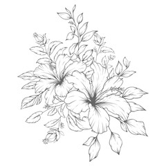 Hand drawn floral outline hibiscus flowers and leaves bouquet