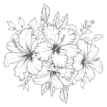 Hand drawn floral outline hibiscus flowers and leaves bouquet