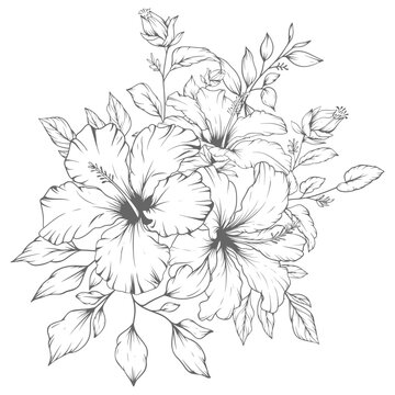 hibiscus flowers black and white drawing clip art preview