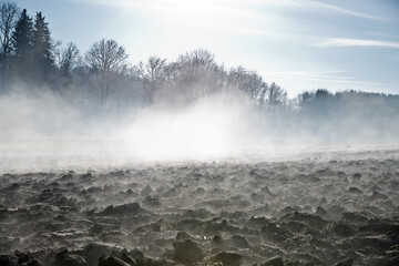 Landschaft mit Nebel am Feld und Bäumen