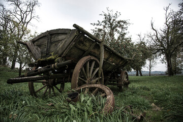 Fototapeta na wymiar Old rusty rotten farm cart in a madow