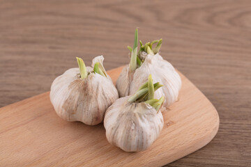 Sprouted garlic on the cutting board