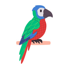 colorful parrot bird perched in branch wildlife nature animal beautiful feather tropical environment