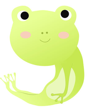 Frog animal number 9 character vector