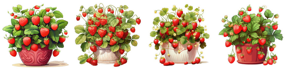Cute strawberry plants in a wide pot Hyperrealistic Highly Detailed Isolated On Transparent Background Png File