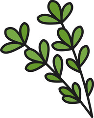 Green thyme spice herb natural food seasoning outline icon. Vector thyme twig, vegetarian food with leaves. Oregano natural garnish, herbal plant