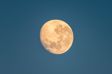 Naklejka na ściany i meble Early morning setting 92% partial moon in the blue sunrise sky