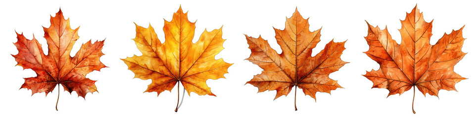 Naklejka na ściany i meble Fall Leaf Watercolor Hyperrealistic Highly Detailed Isolated On Transparent Background Png File
