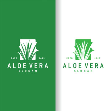 Aloe Vera Logo Design Simple Illustration Health Herbal Plant Grass
