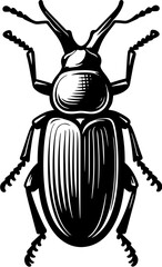 Palo Verde Beetle icon 10