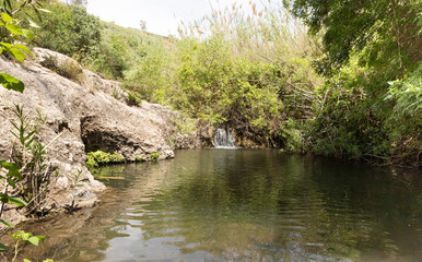 Fototapeta na wymiar The small pond in the El Al National Nature Reserve located in the northern Galilee in the North of Israel