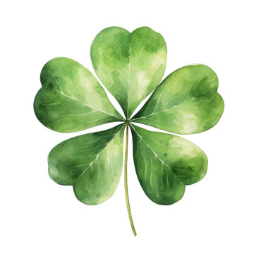 clovers watercolor isolated on transparent background,transparency 