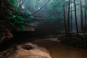 Nature stopped in motion. Nature walks