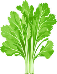 celery isolated icon