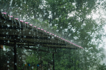 The rain pouring down from the pink rooftops and black backdrops always looks and feels moving.
Focus on the edge of the roof.
