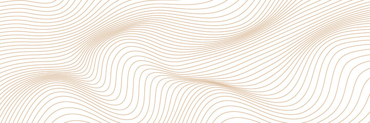 White background with gold line waves, Luxury banner background. Vector illustration