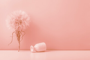 A large dandelion on the table and an inverted small ceramic vase on a pink background. Toned image. Peach background.