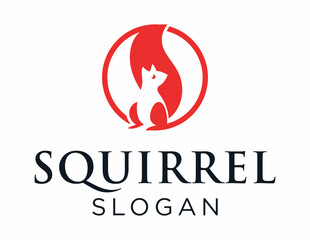 Obraz premium Squirrel Logo Design