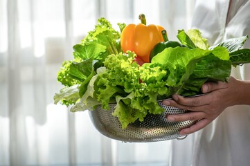 Organic fresh vegetables. Young female farmer woman holding carrying with fresh green salad...