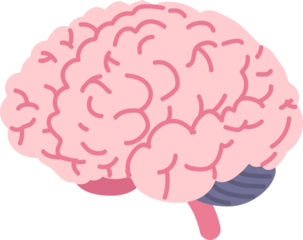 Human brain doodle line vector
